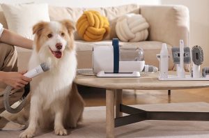 animal care gadgets