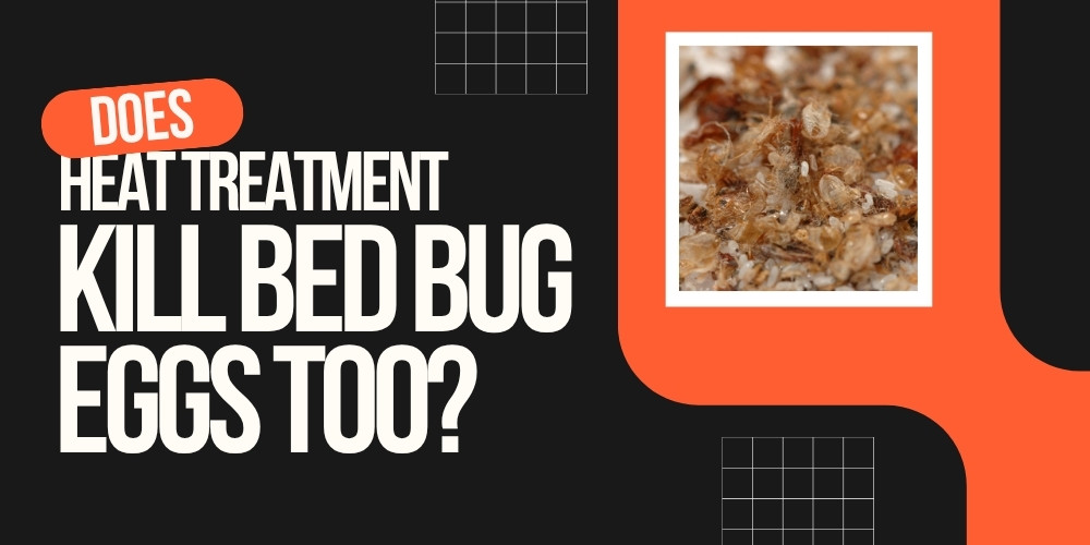 does heat treatment kill bed bug eggs too