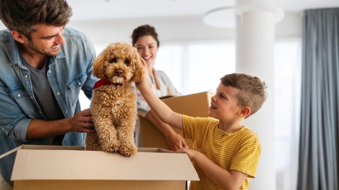 moving with pets interstate