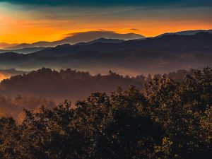 top food & drink experiences in gatlinburg for first time visitors 1