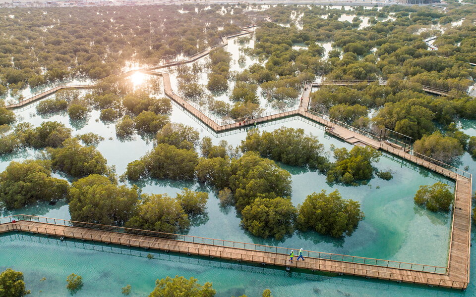 jubail mangrove park abu dhabi s wild heartbeat in a city of glass
