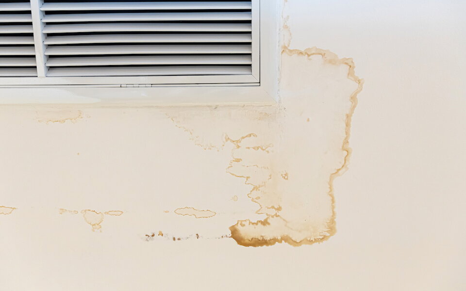 stop mold at the source a homeowner s guide to plumbing linked moisture