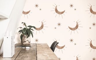 wallpaper showdown peel and stick or paste applied which fits your space