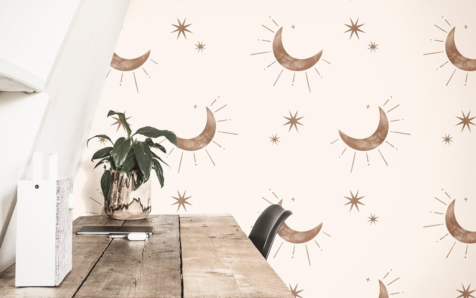 wallpaper showdown peel and stick or paste applied which fits your space