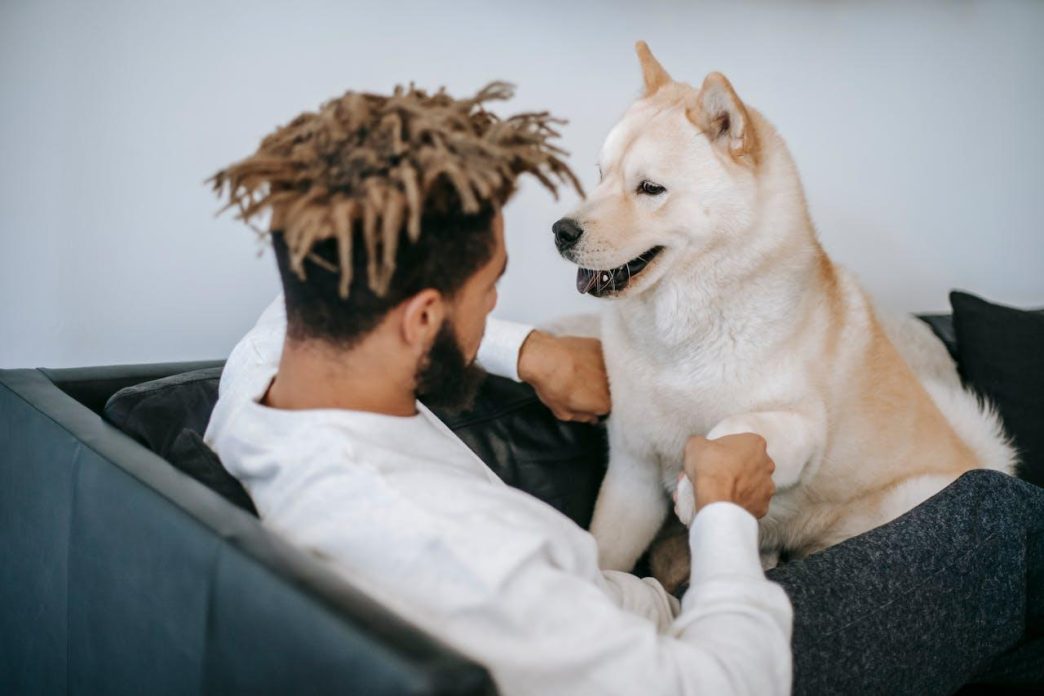 5 ways grooming builds trust between pet and owner