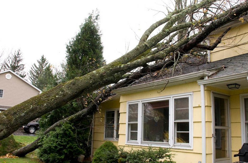 disaster proof your home