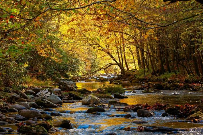 how to plan a peaceful getaway surrounded by nature