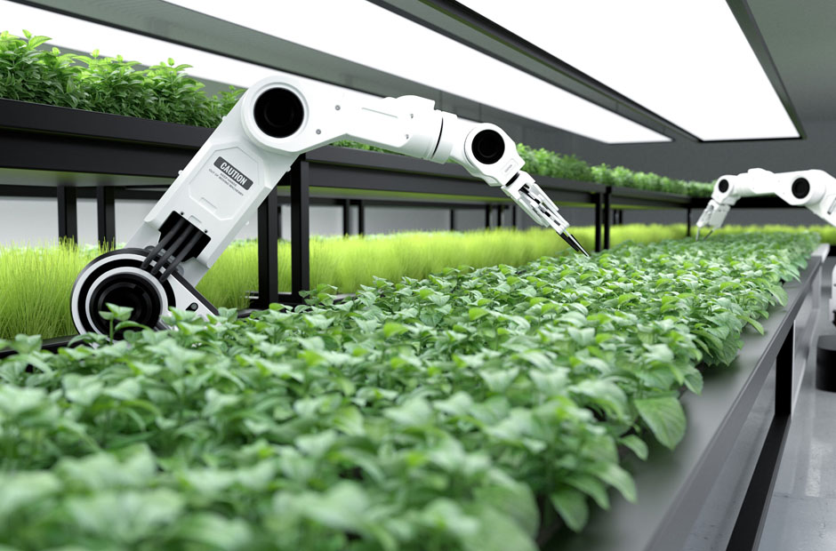 revolutionizing clean plant efficiency with intelligent automation