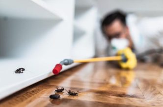 signs your home may be vulnerable to pests