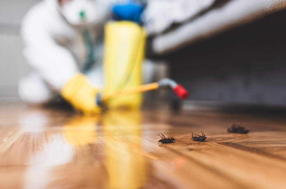 time to call a pest control company