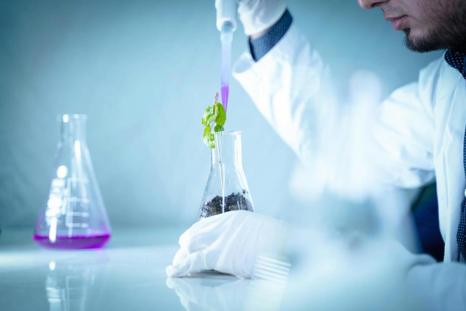 Why Is Tissue Culture Popular In Commercial Agriculture And Horticulture