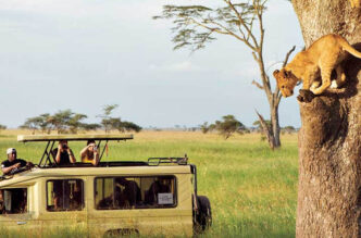 7 best safari tours companies in tanzania