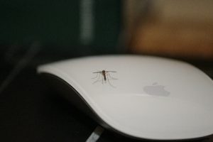 how facility managers can protect offices from health hazards