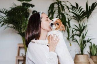 how to turn views into follows like a pro