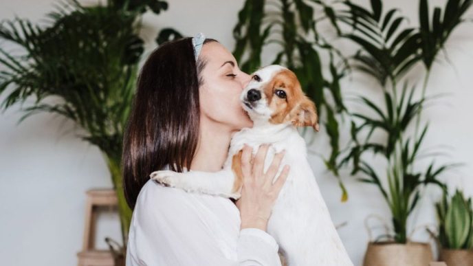 how to turn views into follows like a pro