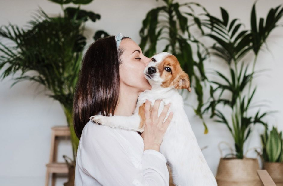 how to turn views into follows like a pro