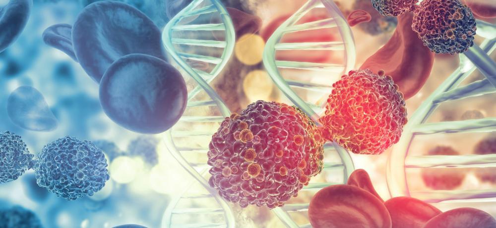 inhibitor osunprotafib 2