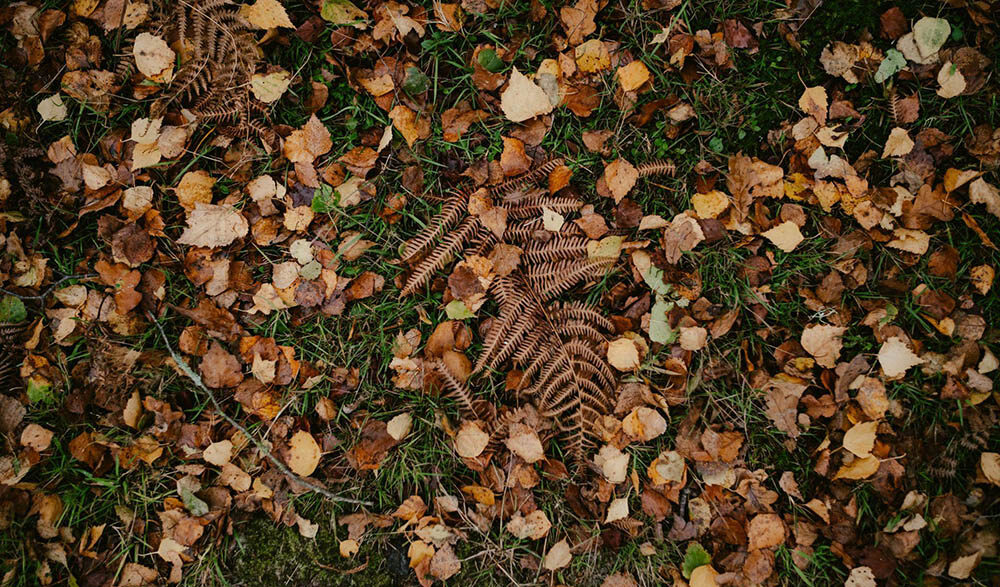 why understanding the nature of your yard waste matters more than speed
