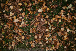why understanding the nature of your yard waste matters more than speed