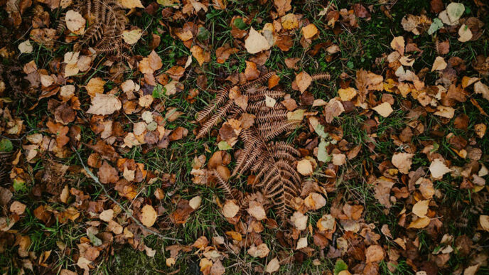 why understanding the nature of your yard waste matters more than speed
