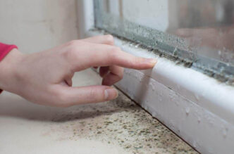 common household mold types