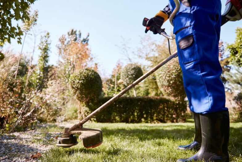 how customized lawn care programs boost curb appeal 4
