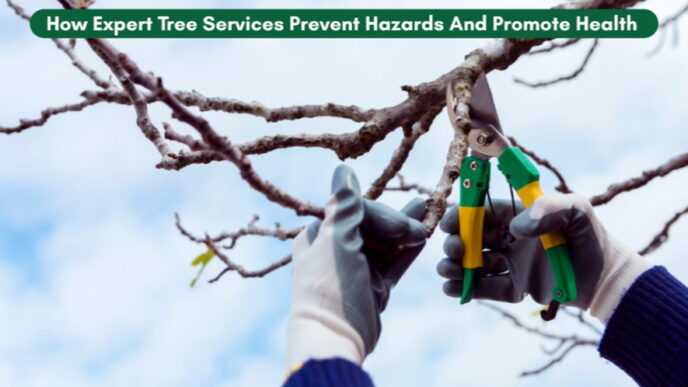 how expert tree services prevent hazards and promote health 1