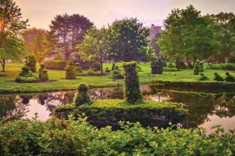 how tree health shapes columbus, oh landscapes