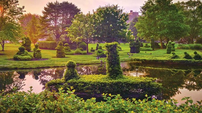 how tree health shapes columbus, oh landscapes