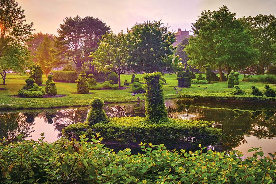 how tree health shapes columbus, oh landscapes