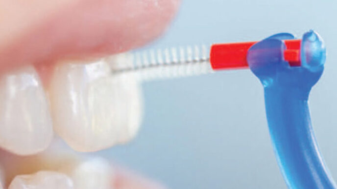 incorporating piksters interdental brushes into preventive programs