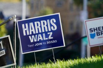 political yard sign theft
