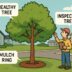 the modern guide to safe, sustainable tree care in gainesville, ga