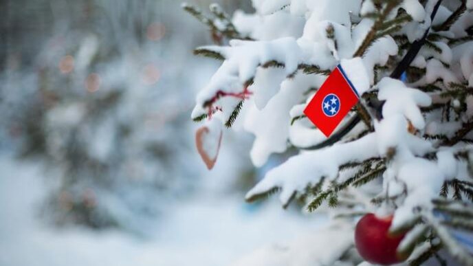 what makes a smoky mountains stay feel truly relaxing in winter