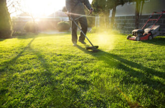 why lawns struggle in dfw