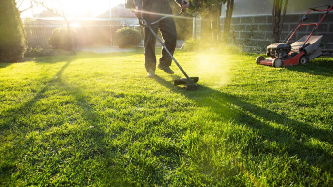 why lawns struggle in dfw