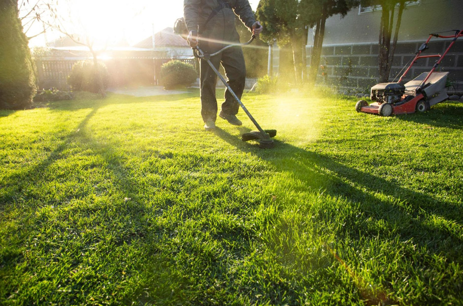 why lawns struggle in dfw