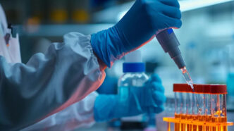 exploring research peptides